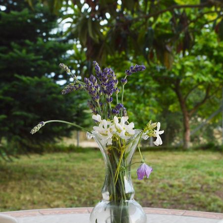 Sunny Retreat With A Garden Terrace Private Room Ioannina Exterior foto