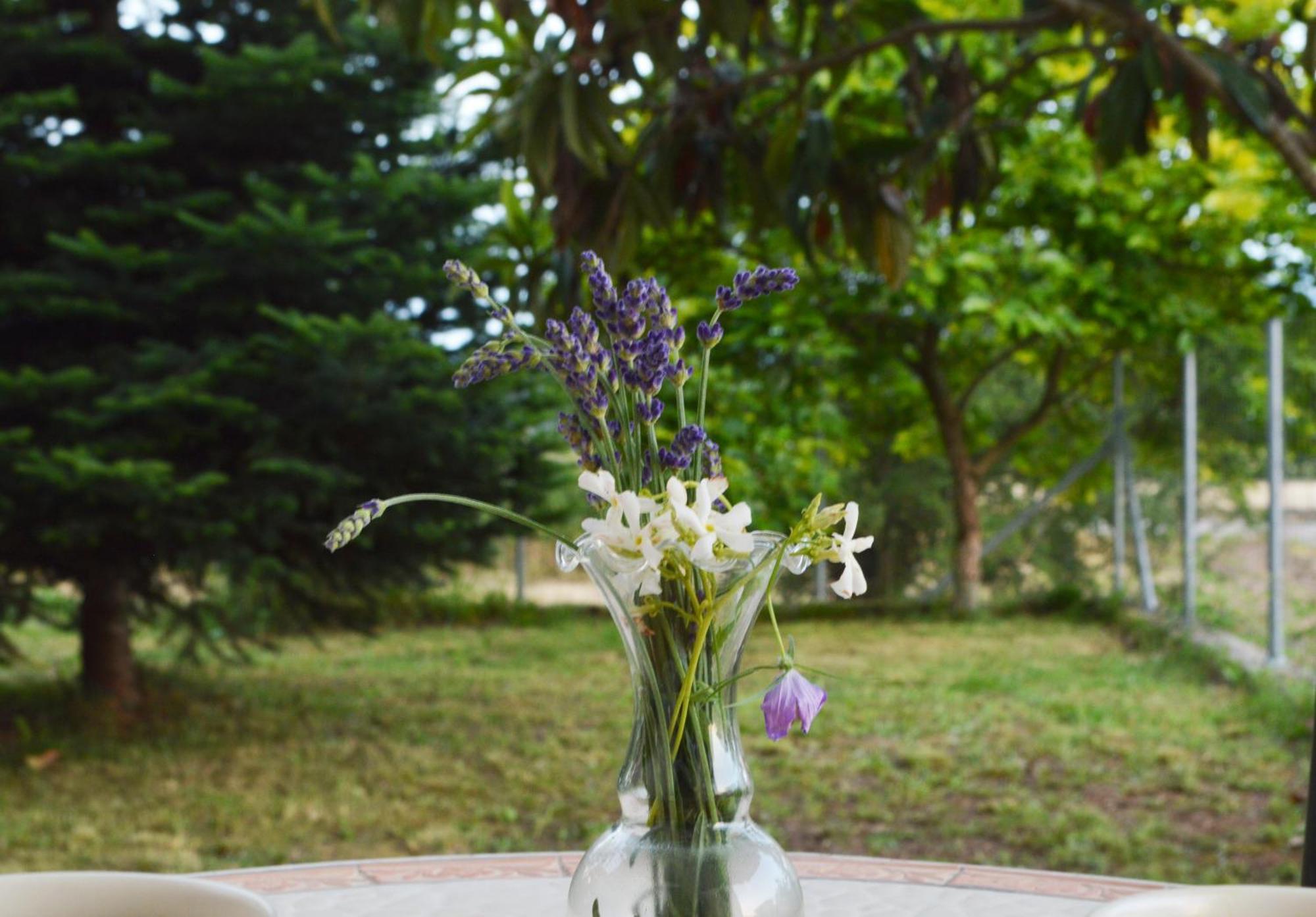 Sunny Retreat With A Garden Terrace Private Room Ioannina Exterior foto